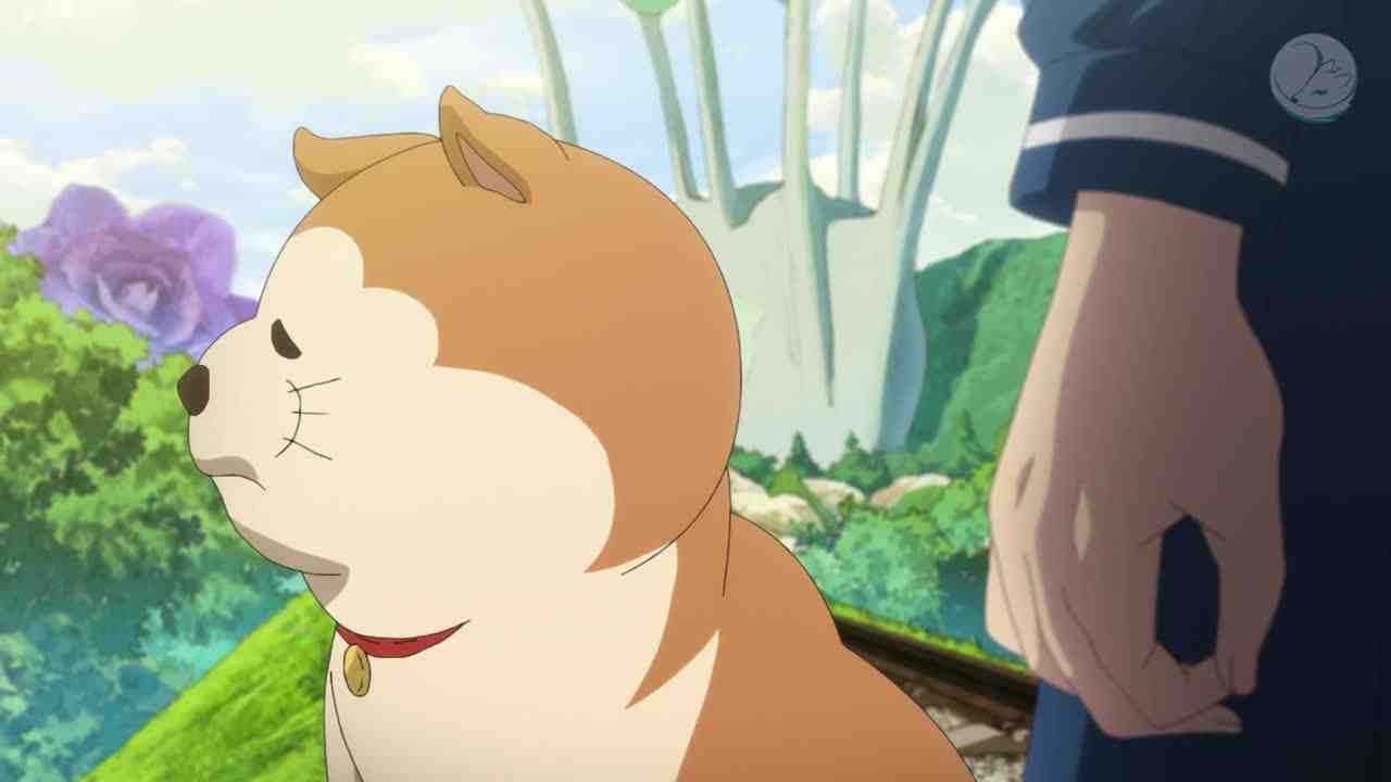 Episode image