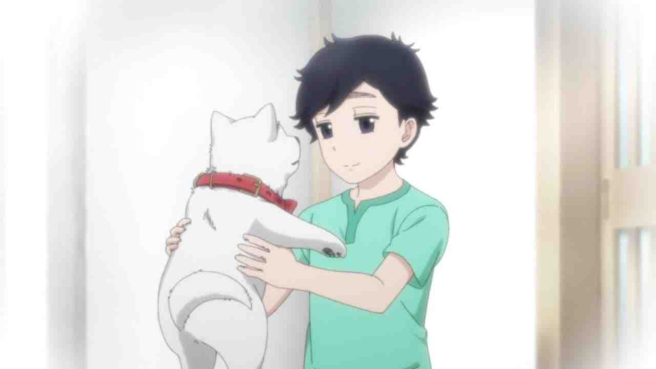 Episode image