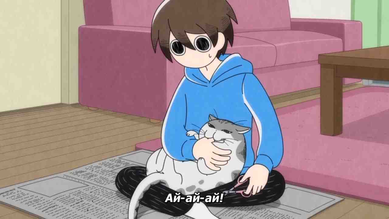 Episode image