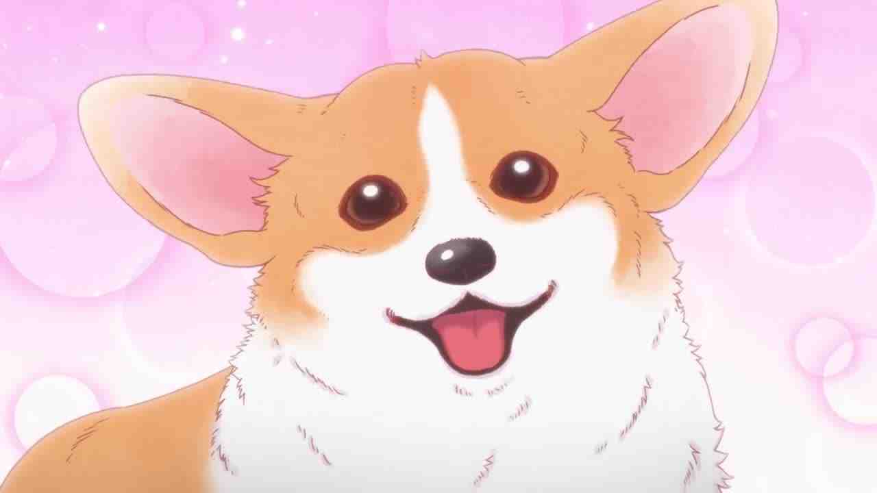 Episode image