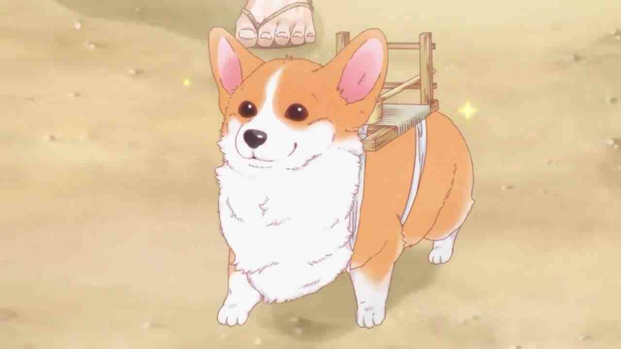 Episode image