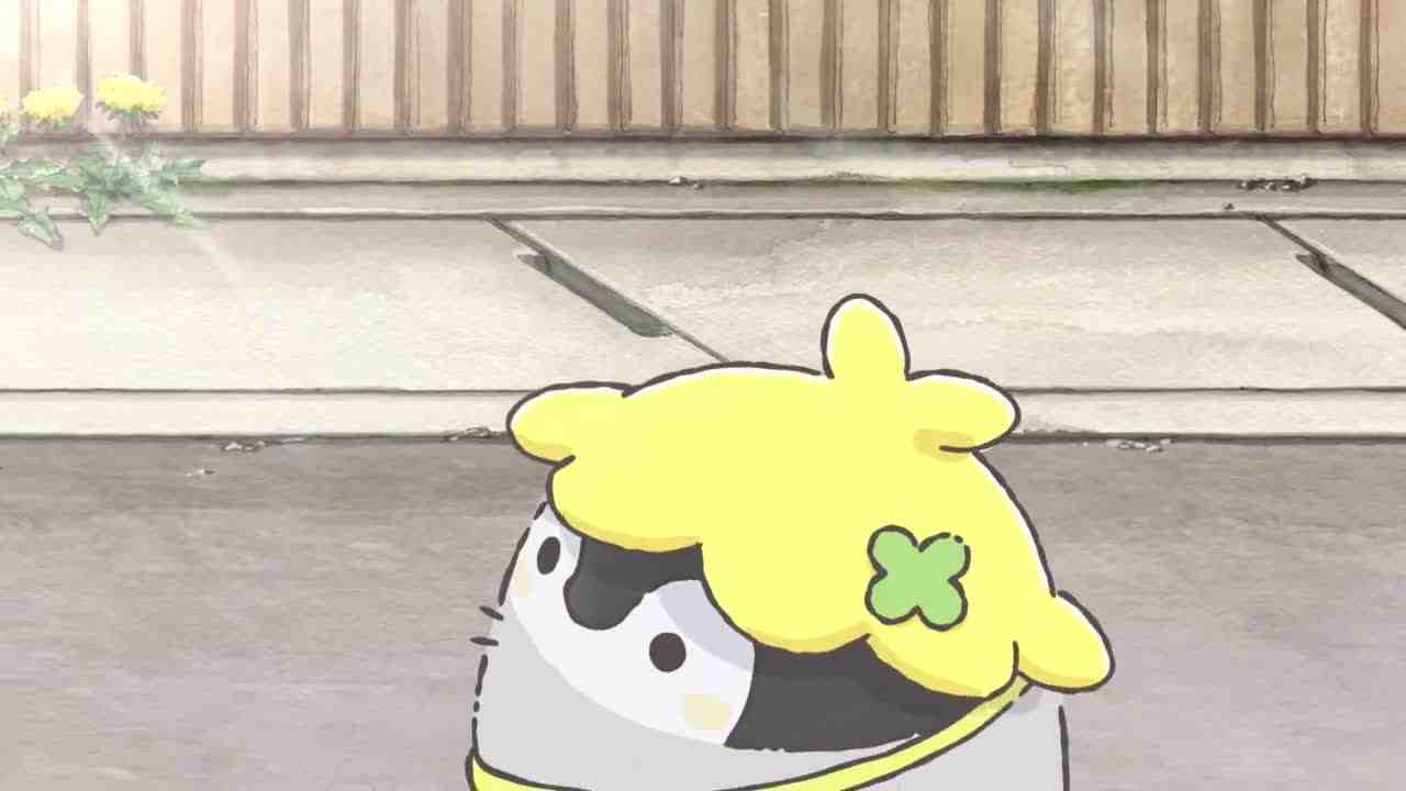 Episode image