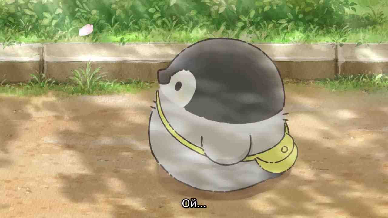 Episode image
