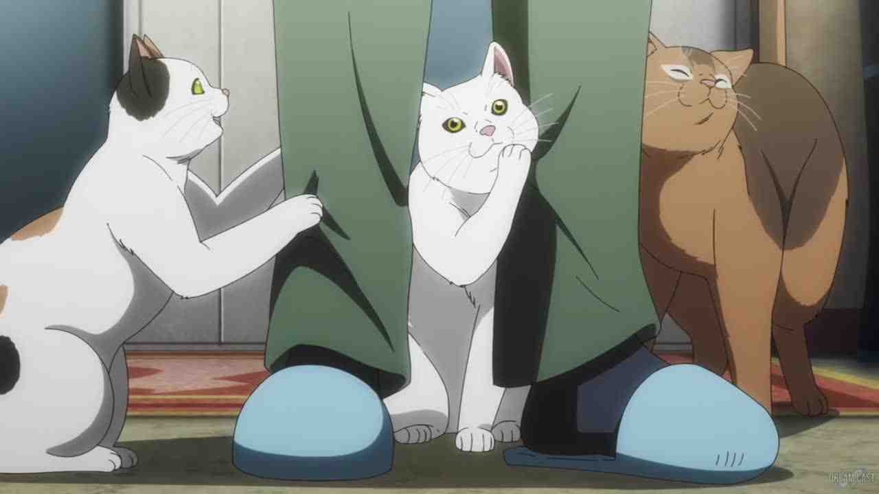 Episode image