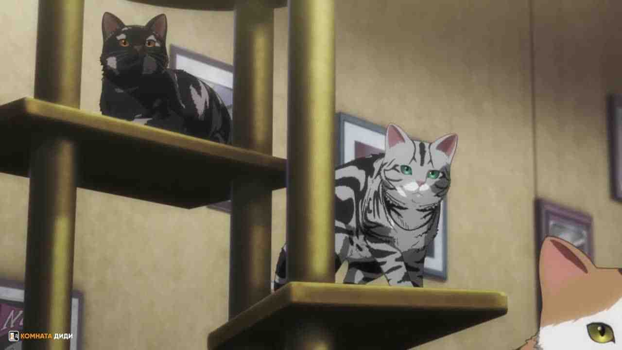 Episode image