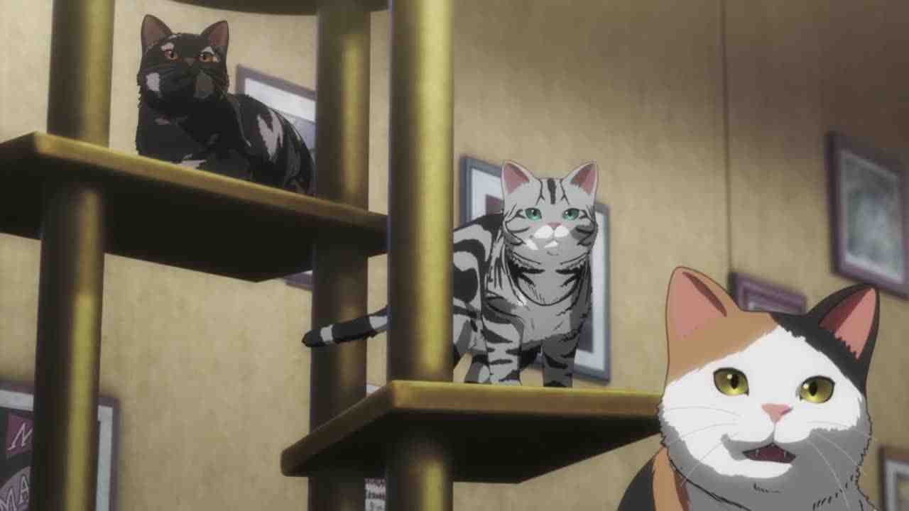 Episode image