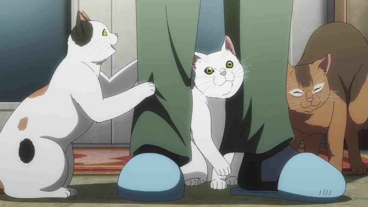 Episode image