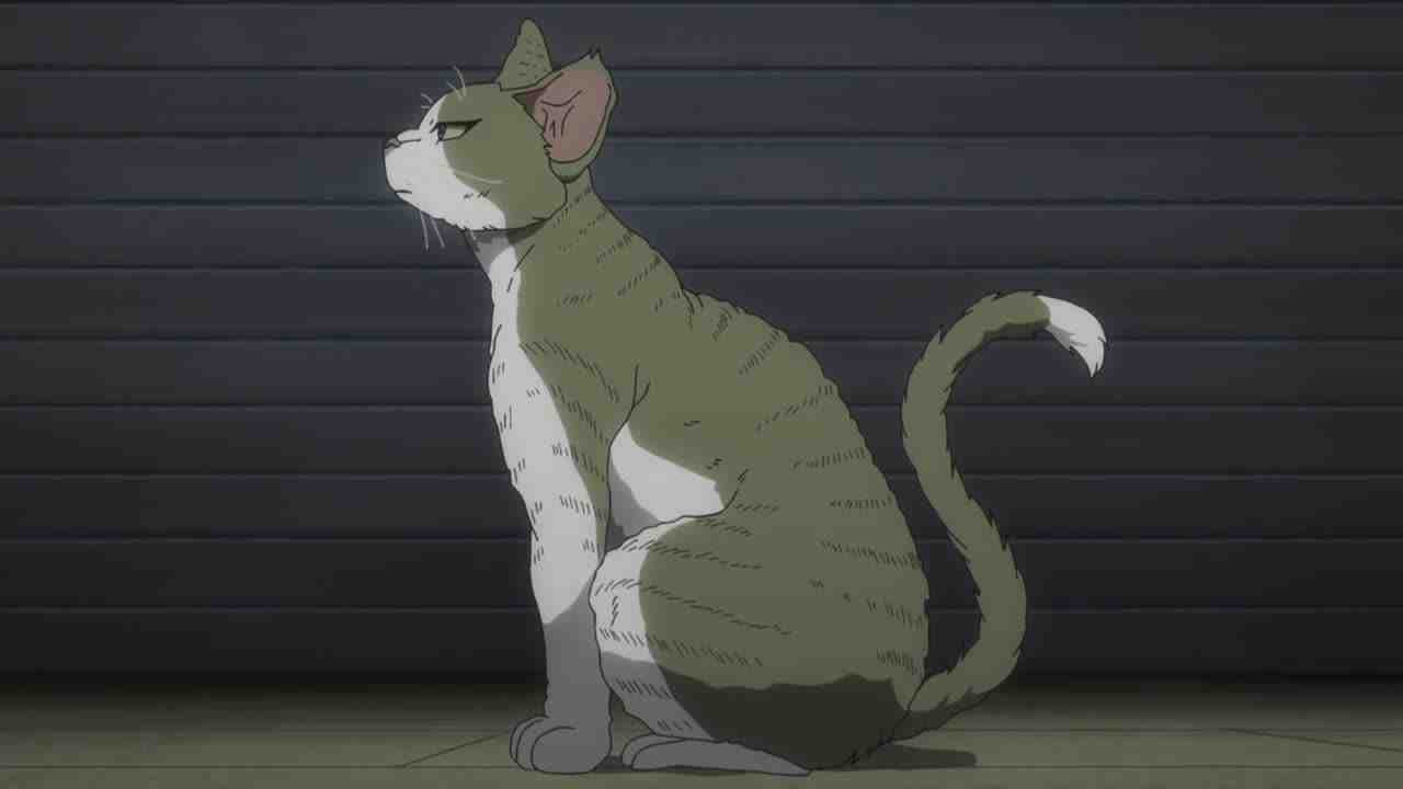Episode image
