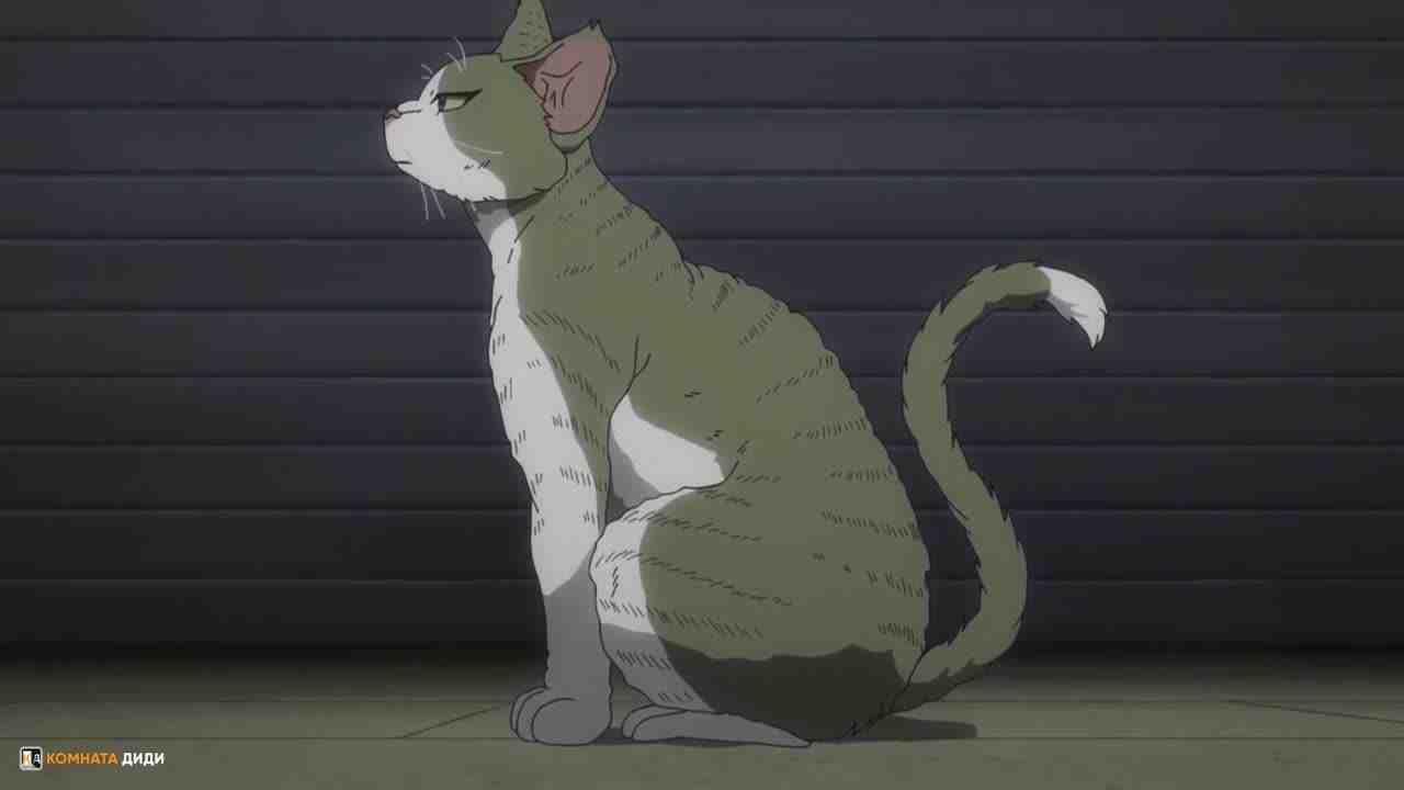 Episode image