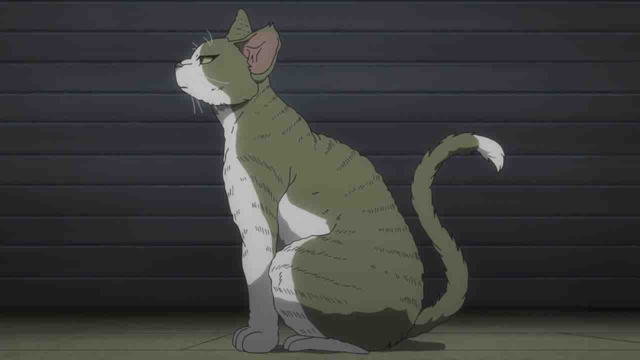 Episode image