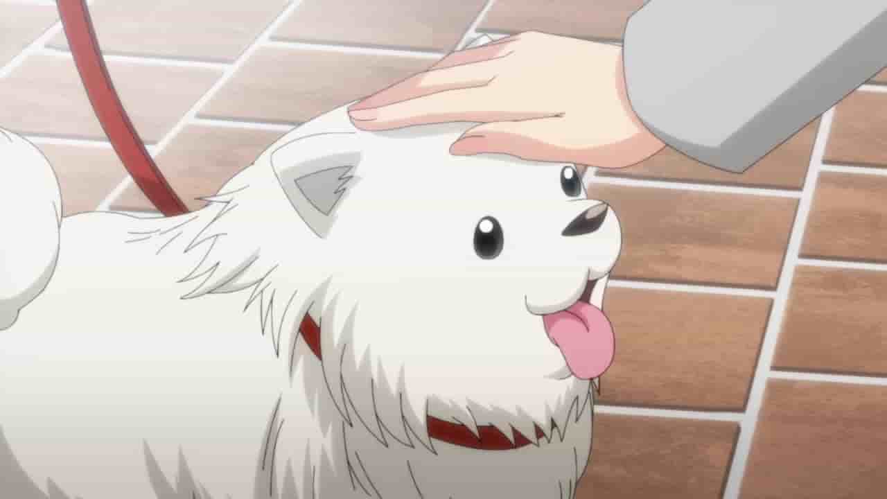 Episode image