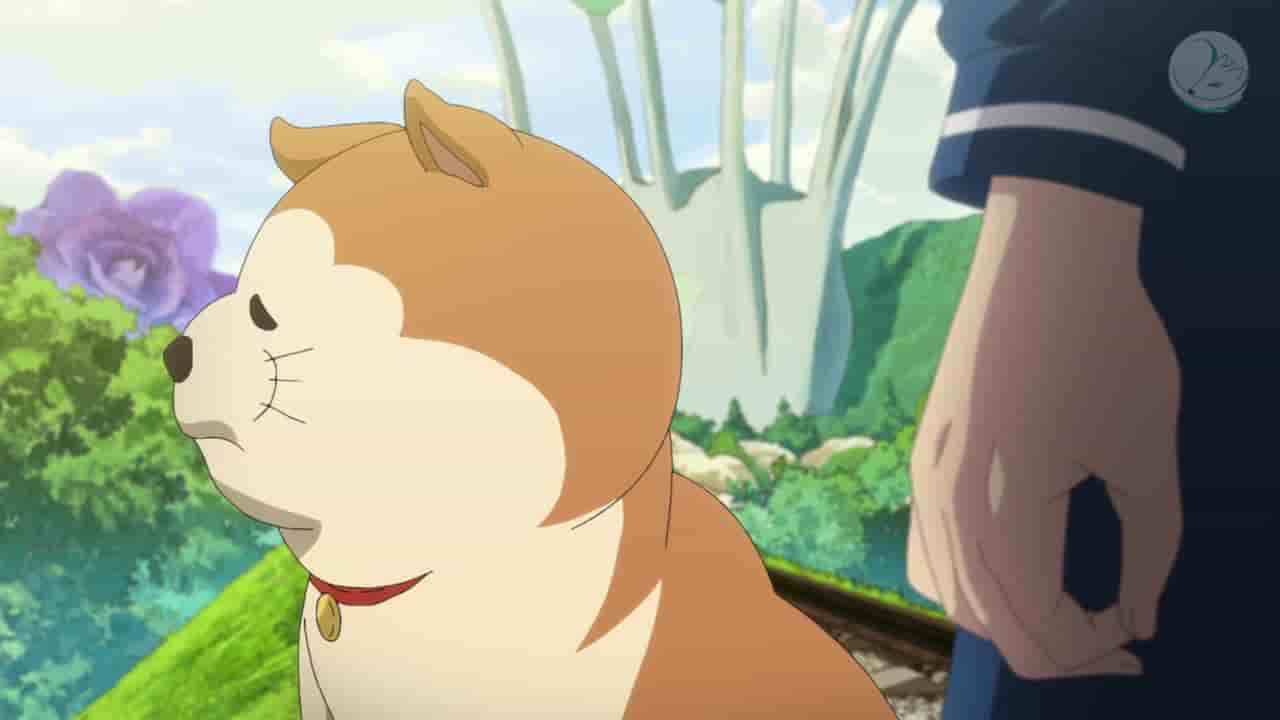 Episode image