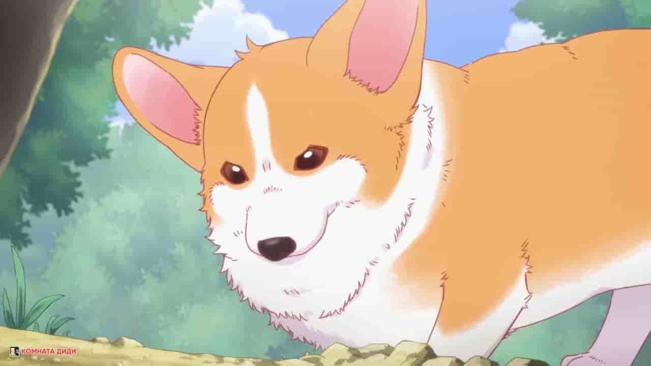 Episode image
