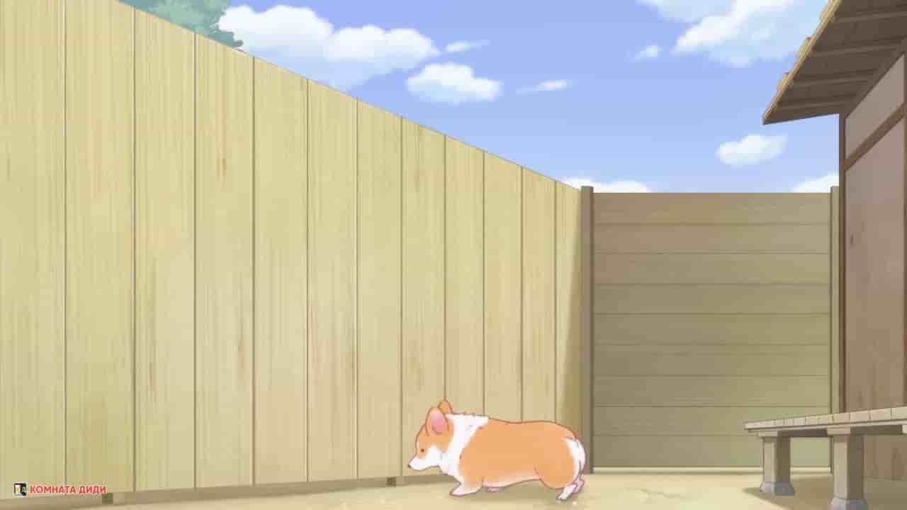Episode image
