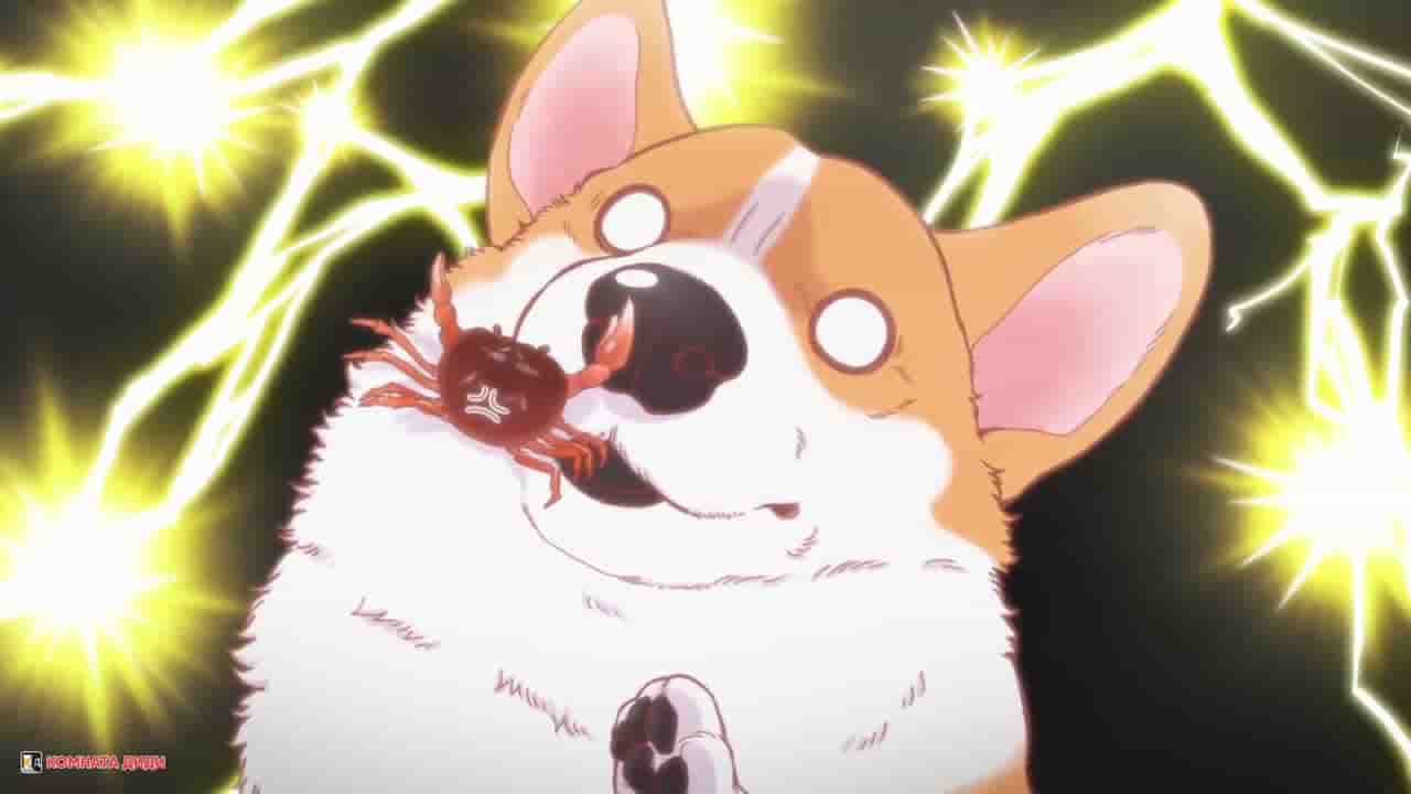 Episode image