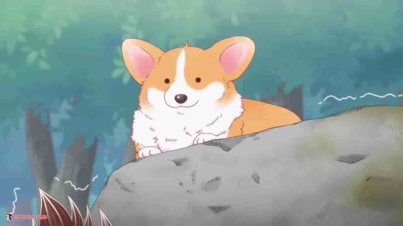 Episode image