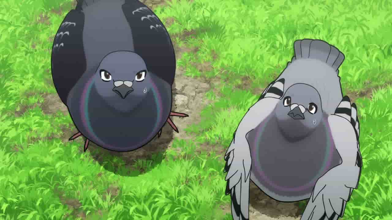 Episode image