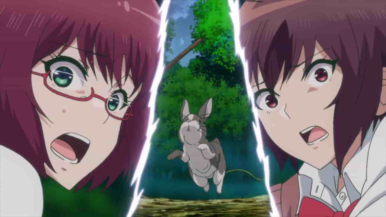 Episode image