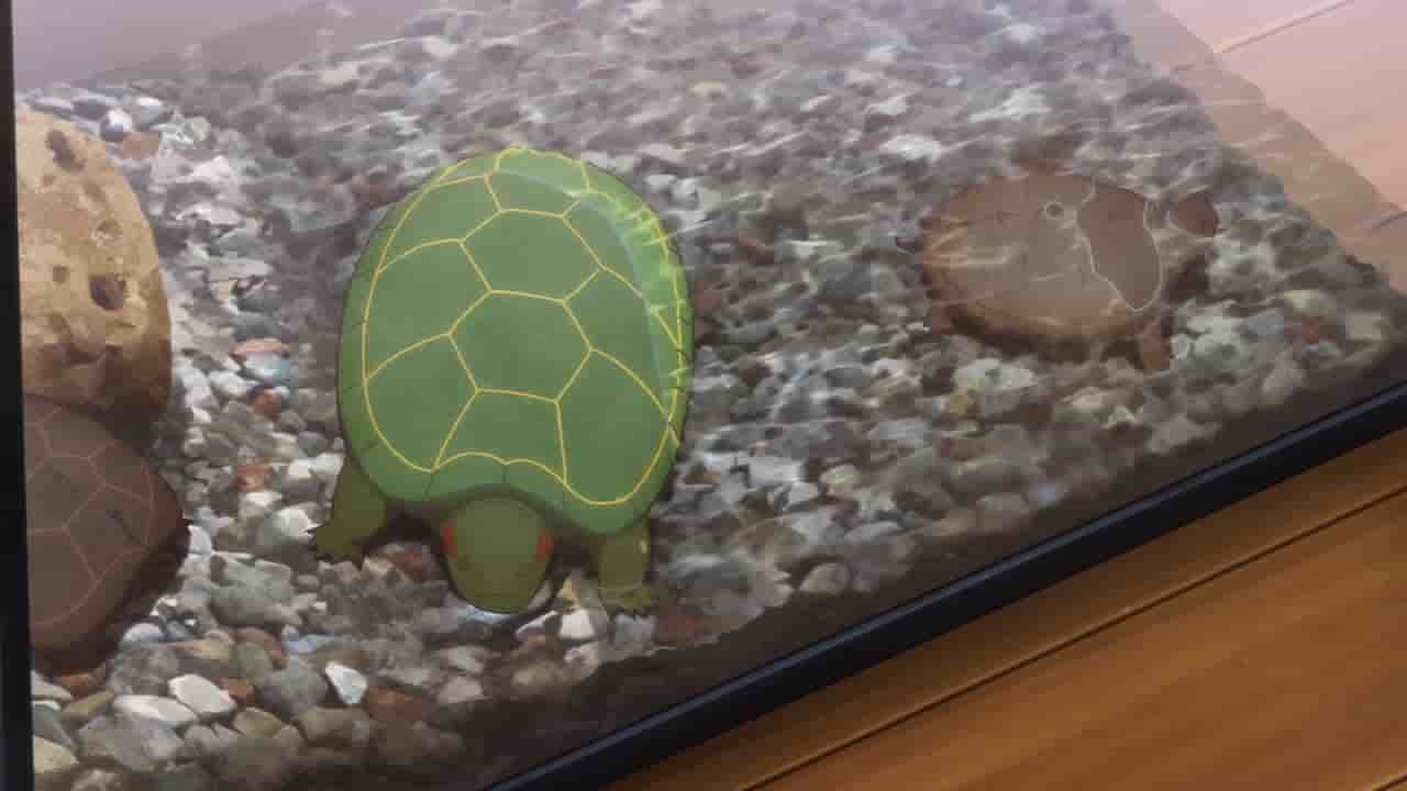 Episode image