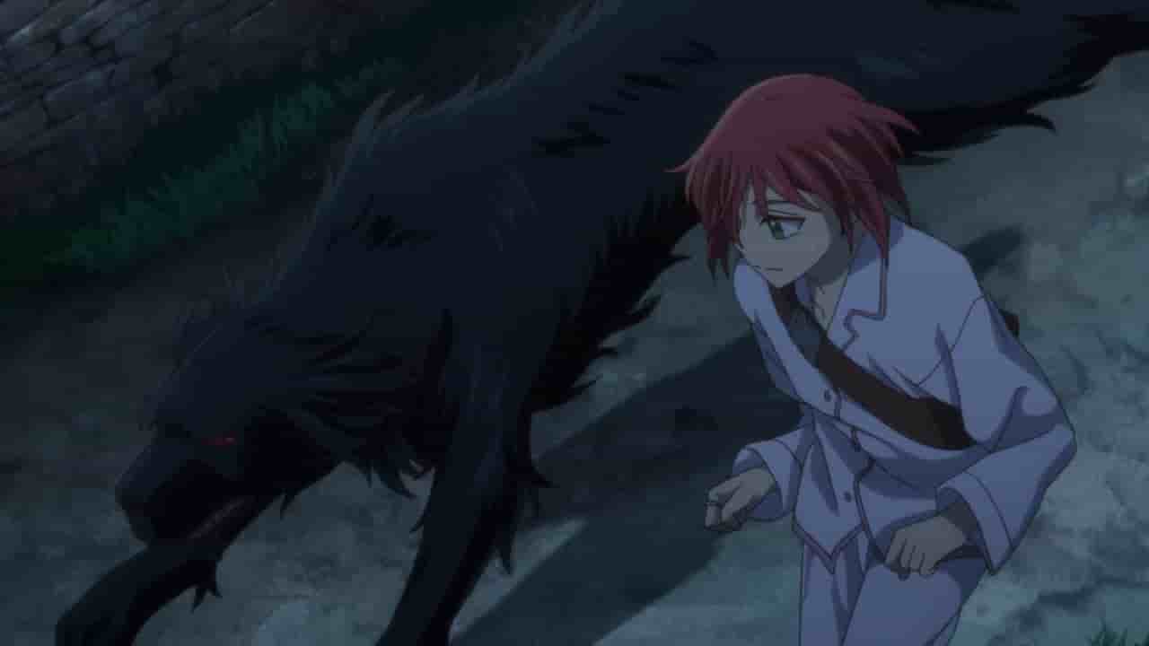 Episode image