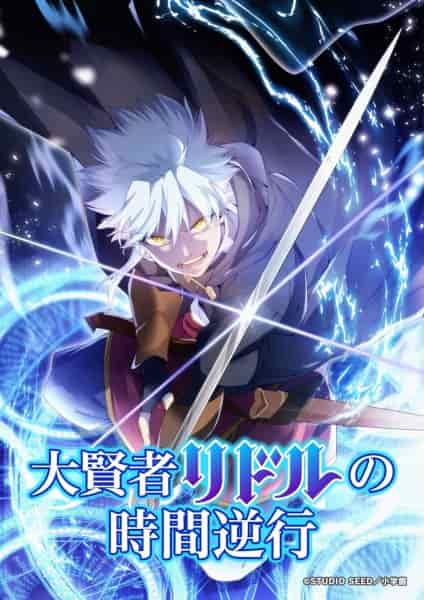 Регрессия великого мудреца Риддла poster