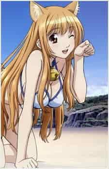 Давайте играть! OVA poster