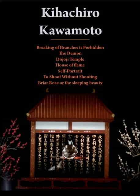 Спящая красавица poster