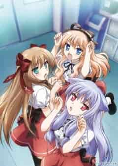 Нашествие бродячих кошек! poster