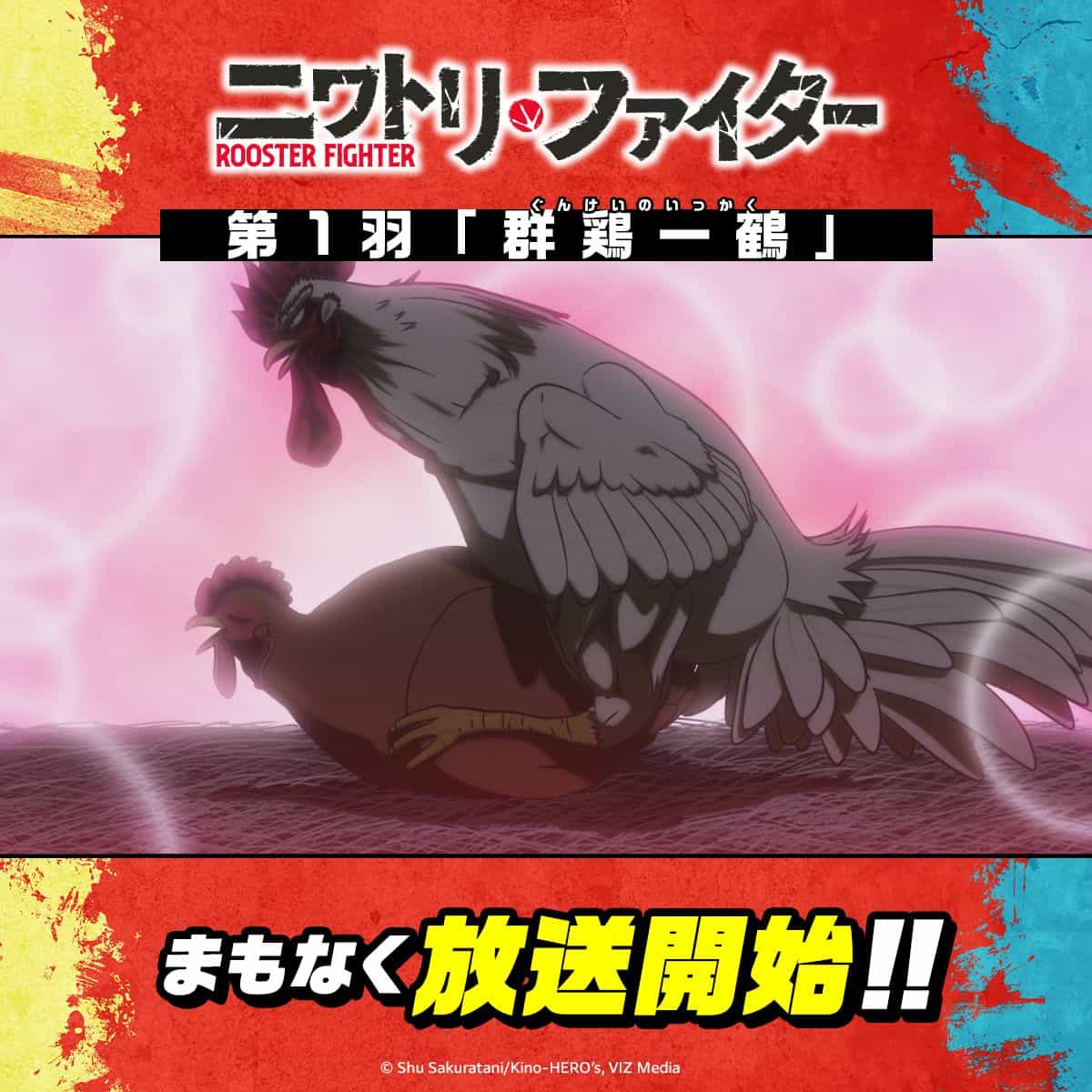 Премьера 1 серии аниме «Боевой Петух» уже сегодня! 1