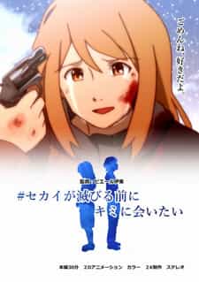 Я хочу встретить тебя перед тем, как мир разрушится anime