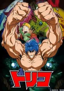Торико: Тур Джампа 2009 anime