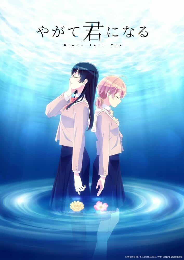 В конечном счёте я стану твоей anime