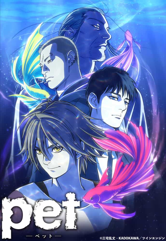 Питомец anime