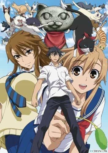 Кошачьи прихоти! anime