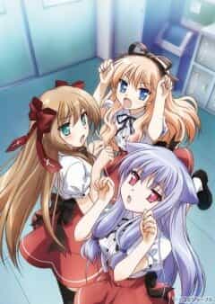 Нашествие бродячих кошек! anime