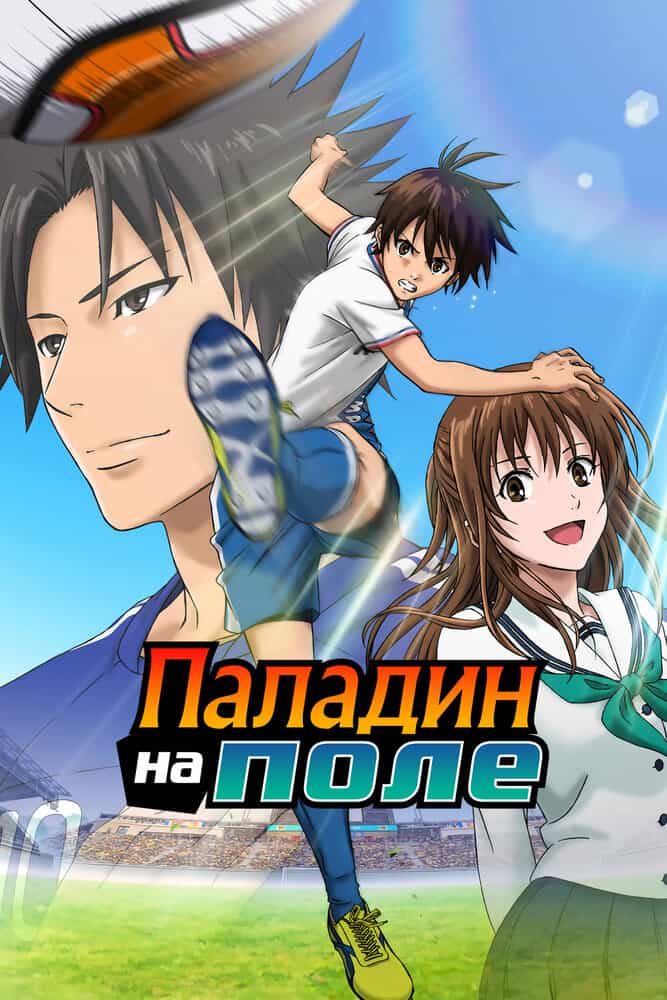 Паладин на поле anime