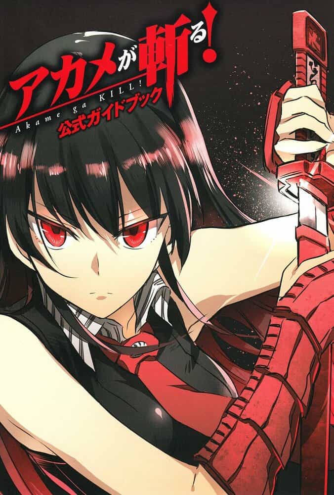 Убийца Акамэ! anime