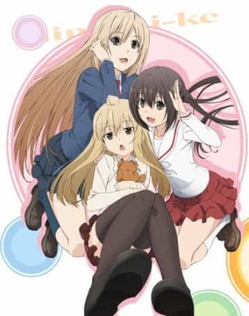 Сёстры Минами: Снова дома anime