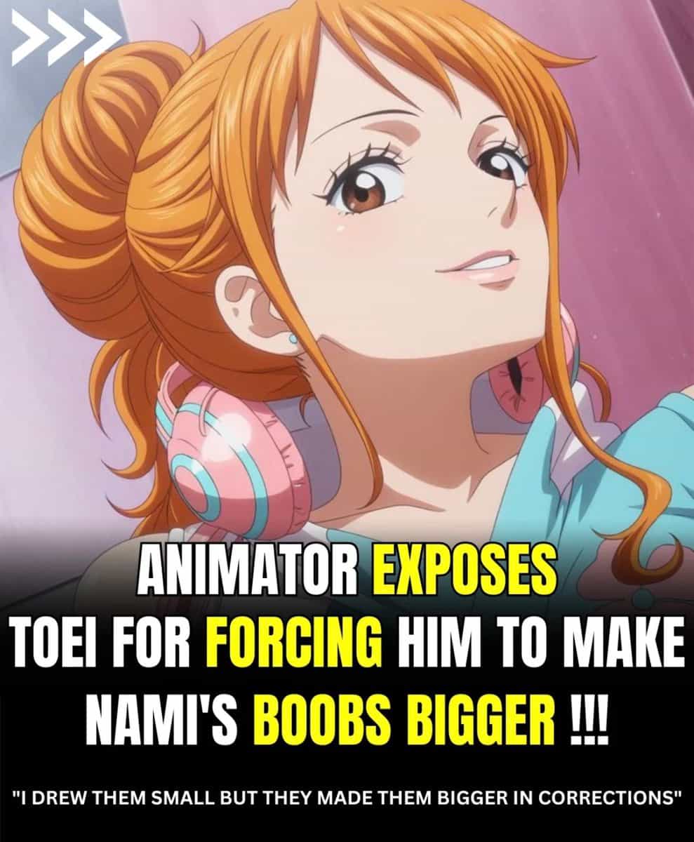 Аниматор обвинил Toei в принуждении увеличить грудь Нами 1
