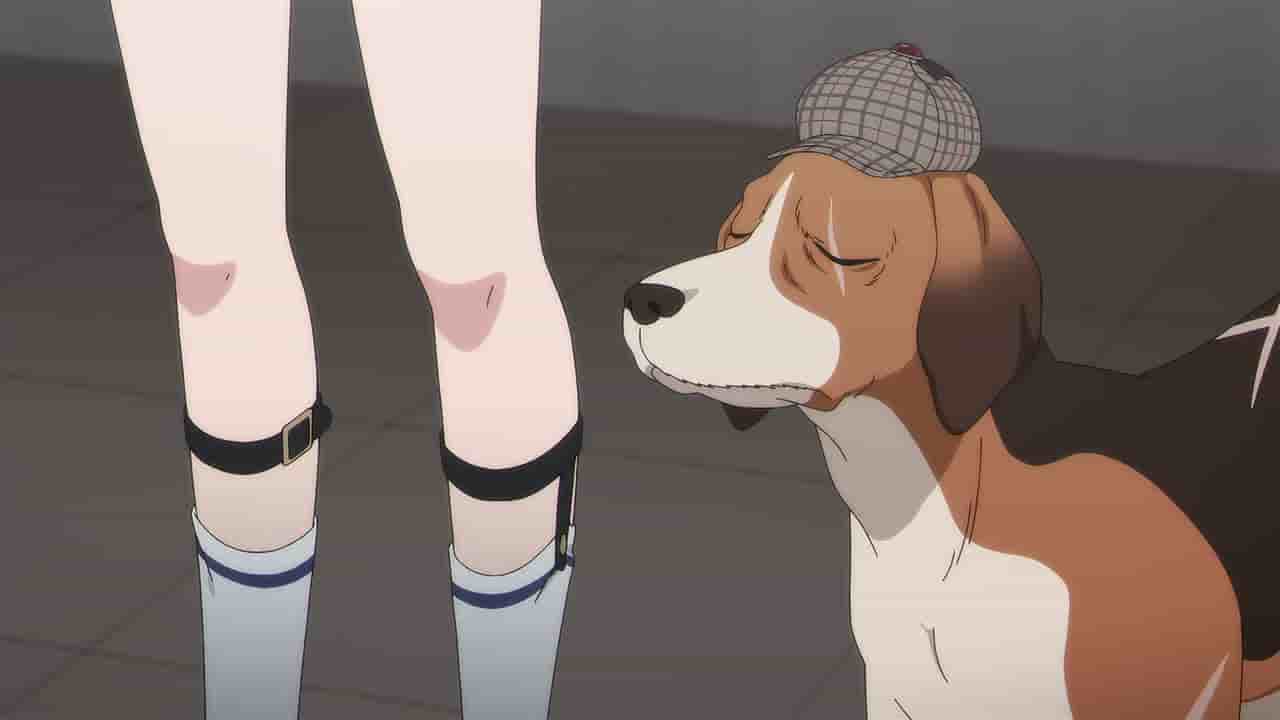 Episode image