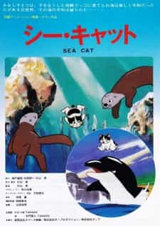 Морской котик anime