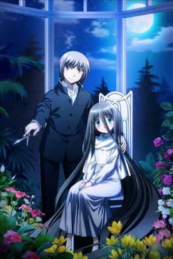 Отсекающие и разделяющие преступные лезвия anime